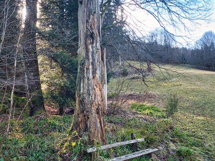 20220205202150-61458f93